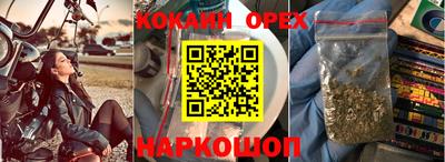 гашик Кинель