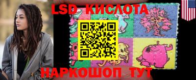 амф Кингисепп