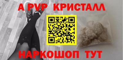 амф Кингисепп