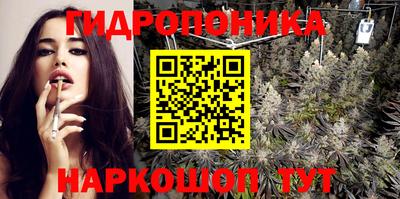 амф Кингисепп