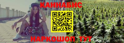 амф Кингисепп