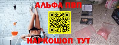 амф Кингисепп