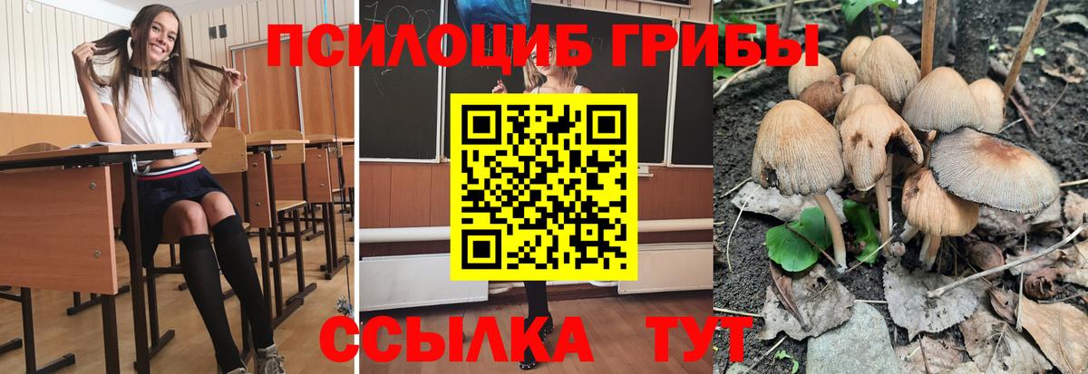 Псилоцибиновые грибы ЛСД  хочу наркоту  Топки  Псилоцибиновые грибы Psilocybe  Вход с VPN 
