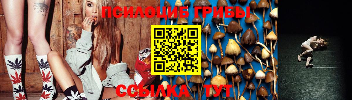 Псилоцибиновые грибы мицелий Топки
